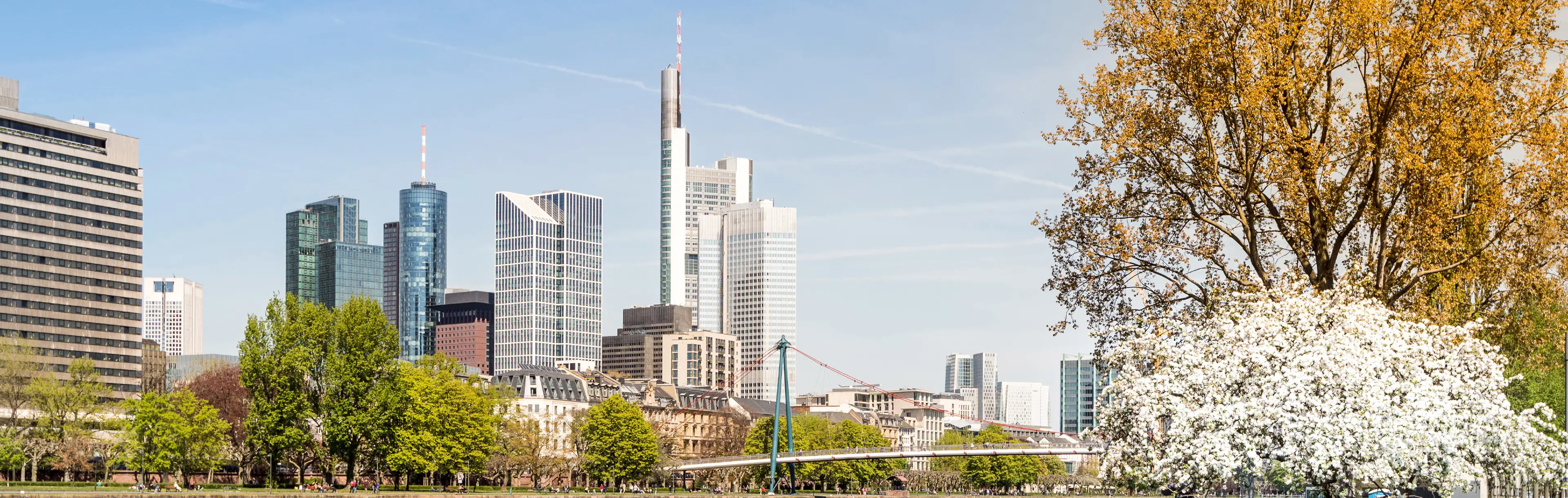 Expert services and installations throughout the lifecycle